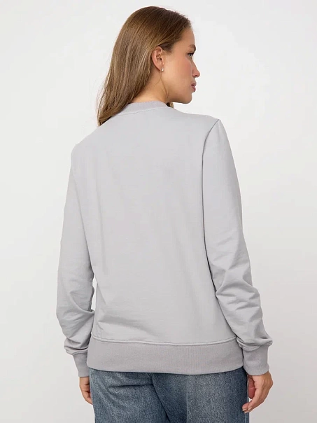 Свитшот без начеса, серый